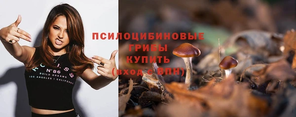 дмт Аркадак