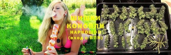 дмт Аркадак