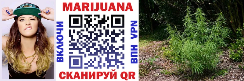 Бошки Шишки VHQ  Сибай 
